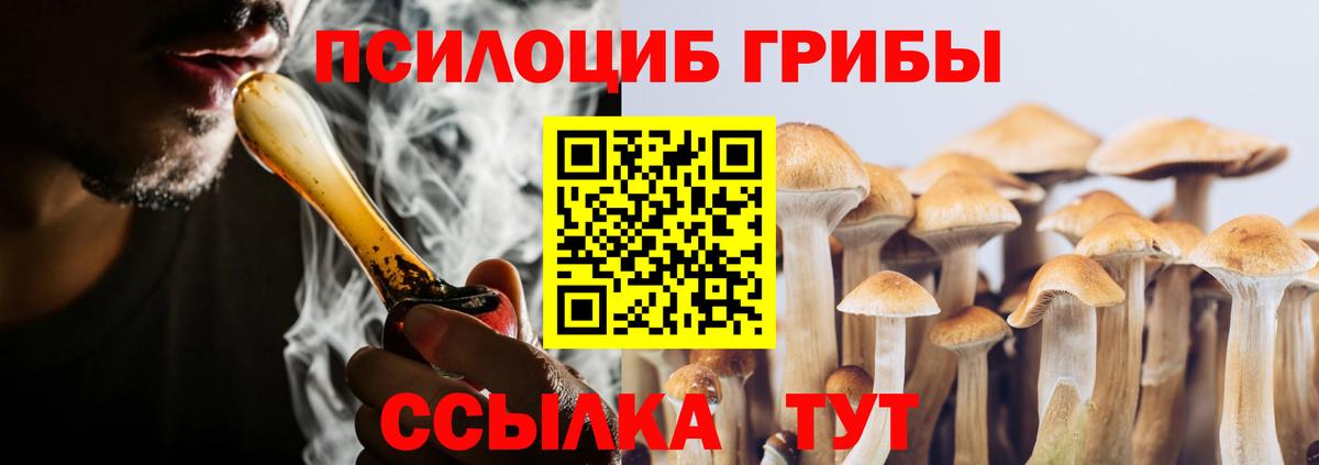 Галлюциногенные грибы Psilocybine cubensis Воткинск